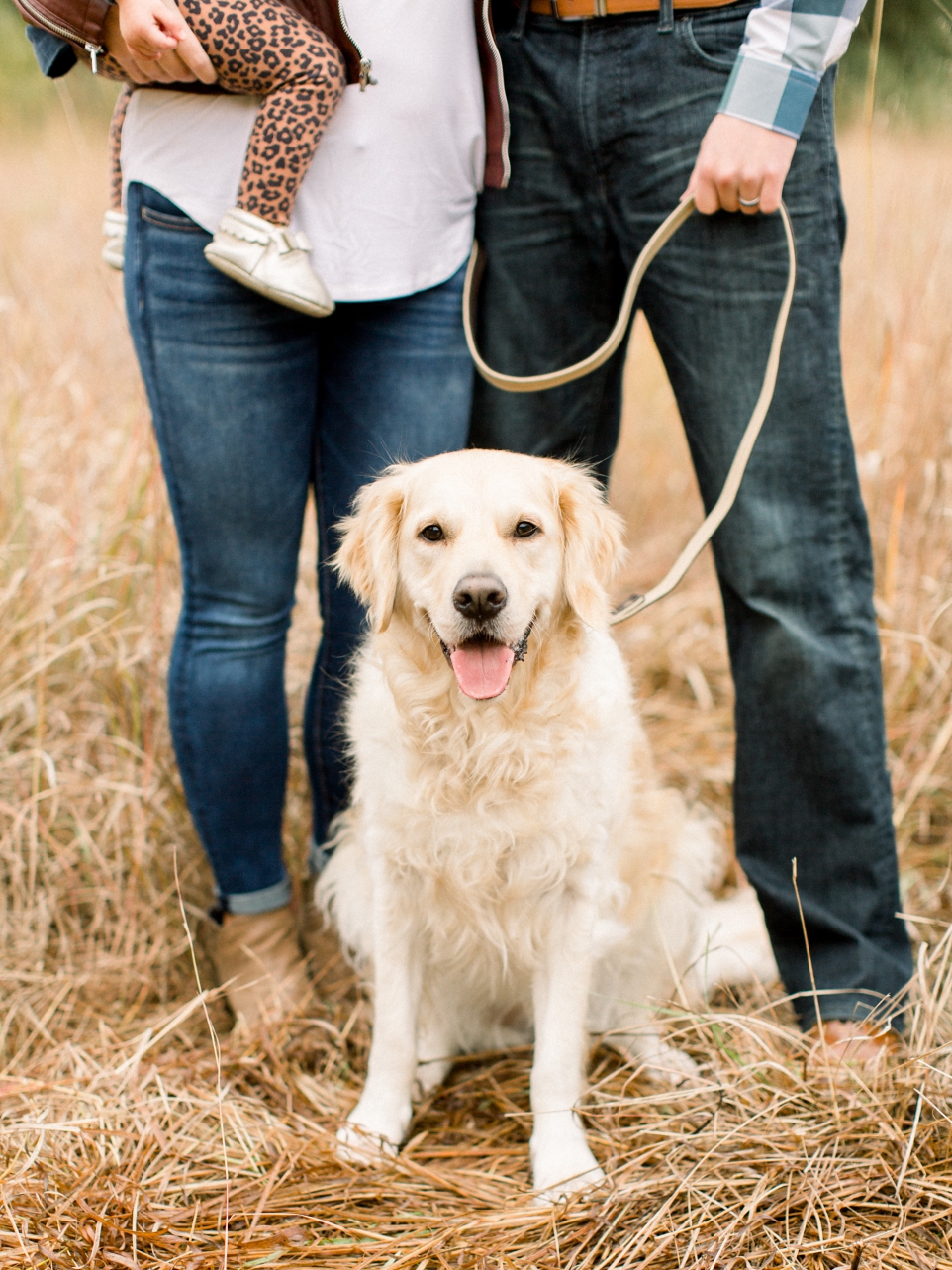 Mini session photographer Minneapolis